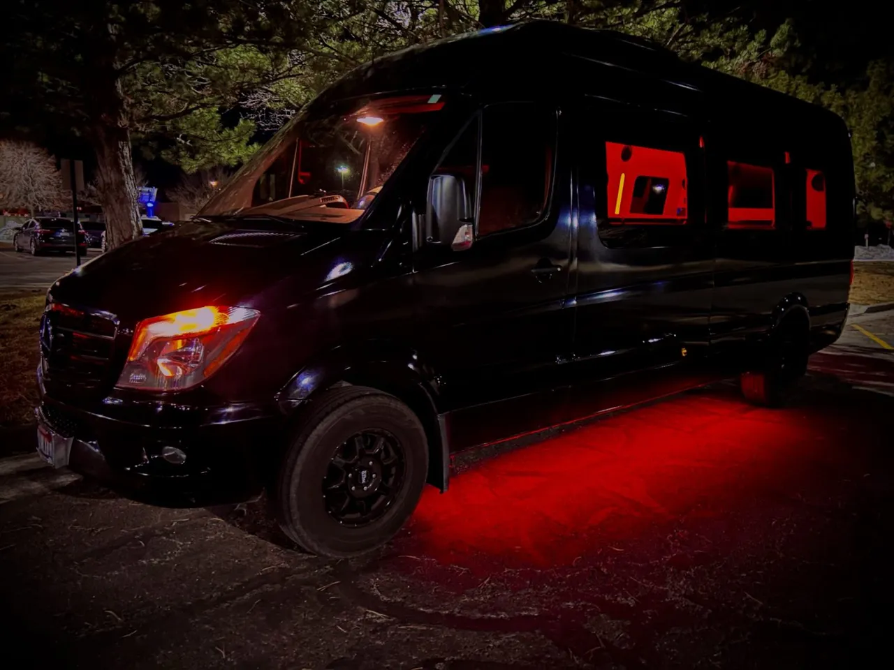 Black 12 Passenger Mercedes-Benz Party Bus, photo 4 for party bus rental