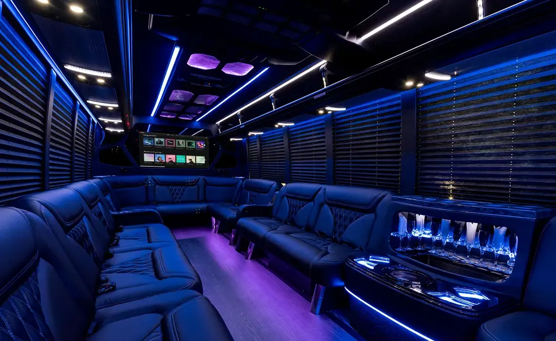 18 Passenger Party Bus 18 Passenger Party Bus for party bus rental