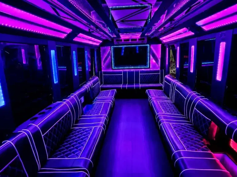 20 Passenger Party Bus in white, image 2