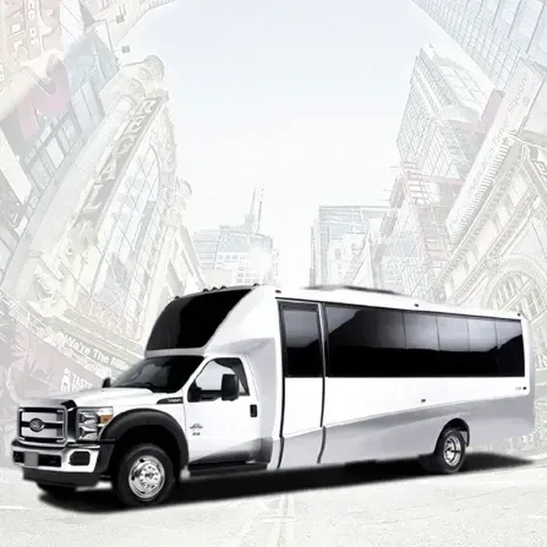 20 Passenger Party Bus 20 Passenger Party Bus, available to rent