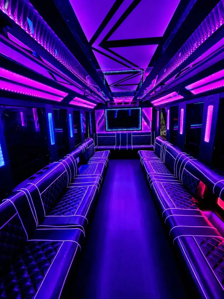 20 Passenger Party Bus in white, image 2