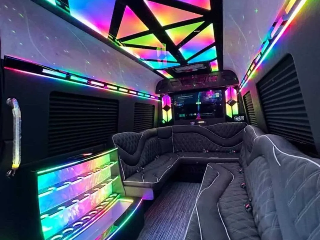 2026 Mercedes-Benz Sprinter Limousine (Sylvester) in black, image 2