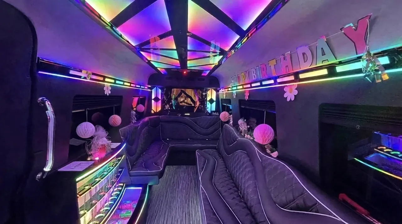 2026 Mercedes-Benz Sprinter Limousine (Sylvester) in black, image 2