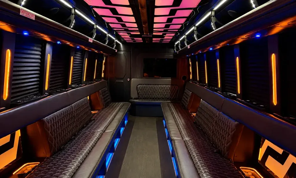 38 Passenger Party Bus Black 38 Passenger Party Bus for party bus rental