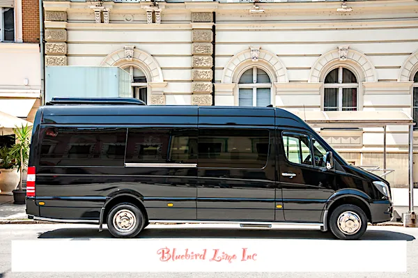 8 Passenger Charter Sprinter 8 Passenger Charter Sprinter, available to rent