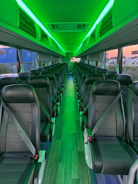 56 Passenger Charter Bus – seating, LED ceiling lighting, passenger seat belts and overhead parcel racks