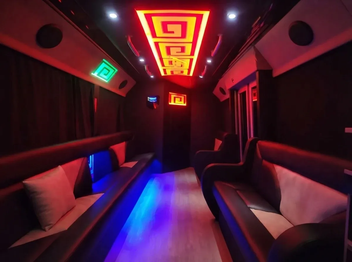 CNG Party Bus in black, image 2