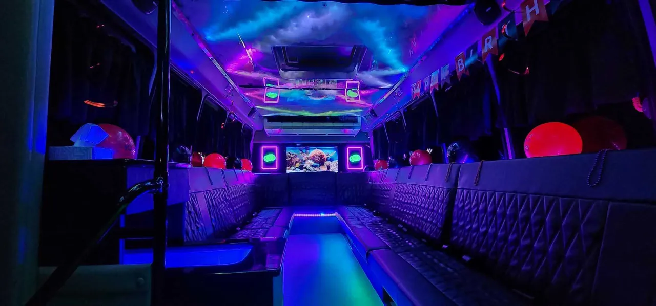 20 Passenger Luxury Party Bus (Dark Shadow) interior with perimeter lounge seating, LED accent lighting and LED ceiling lighting for party bus rental