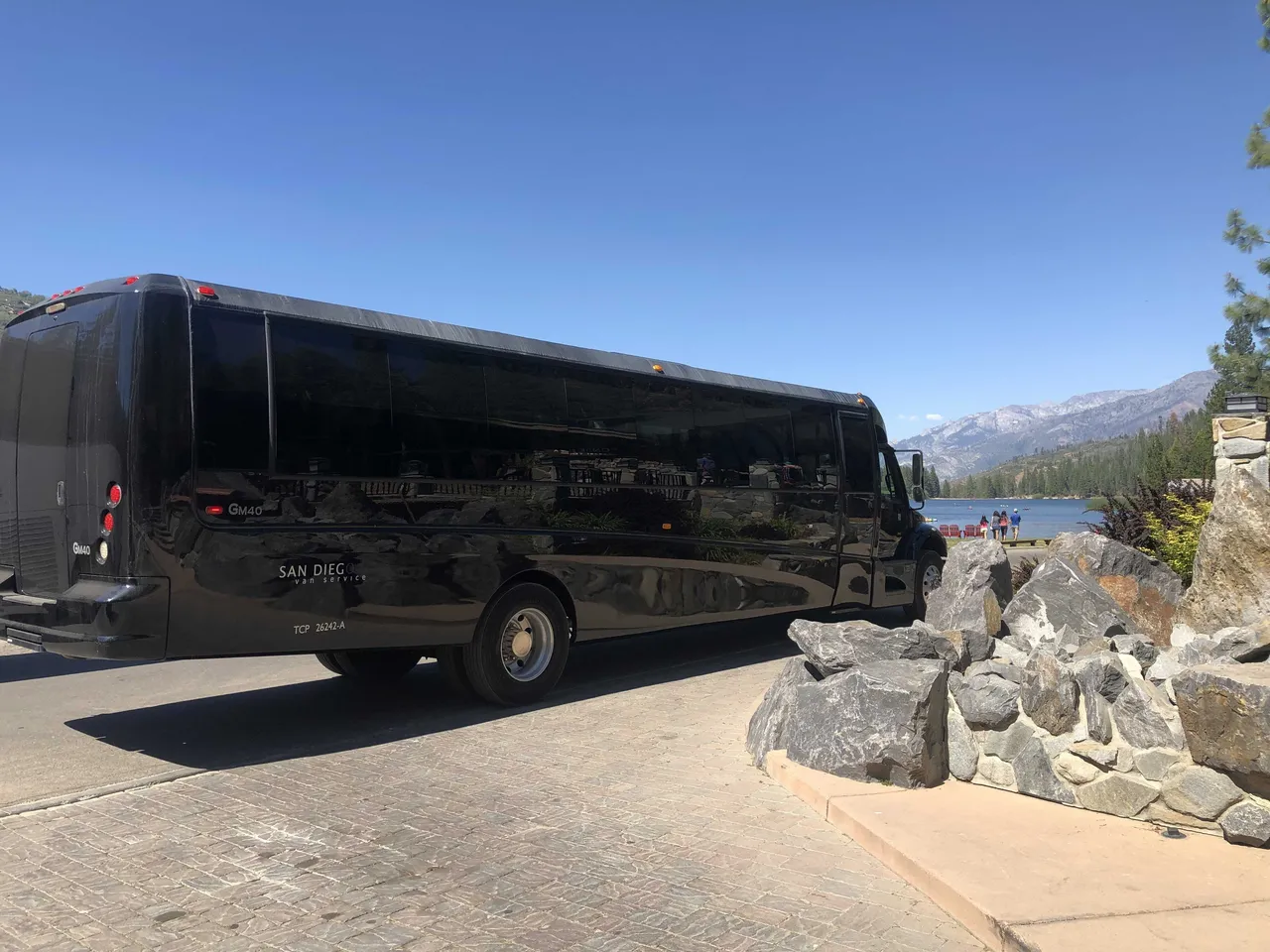 Black Executive Mini-Coach exterior with tinted windows for minibus rental