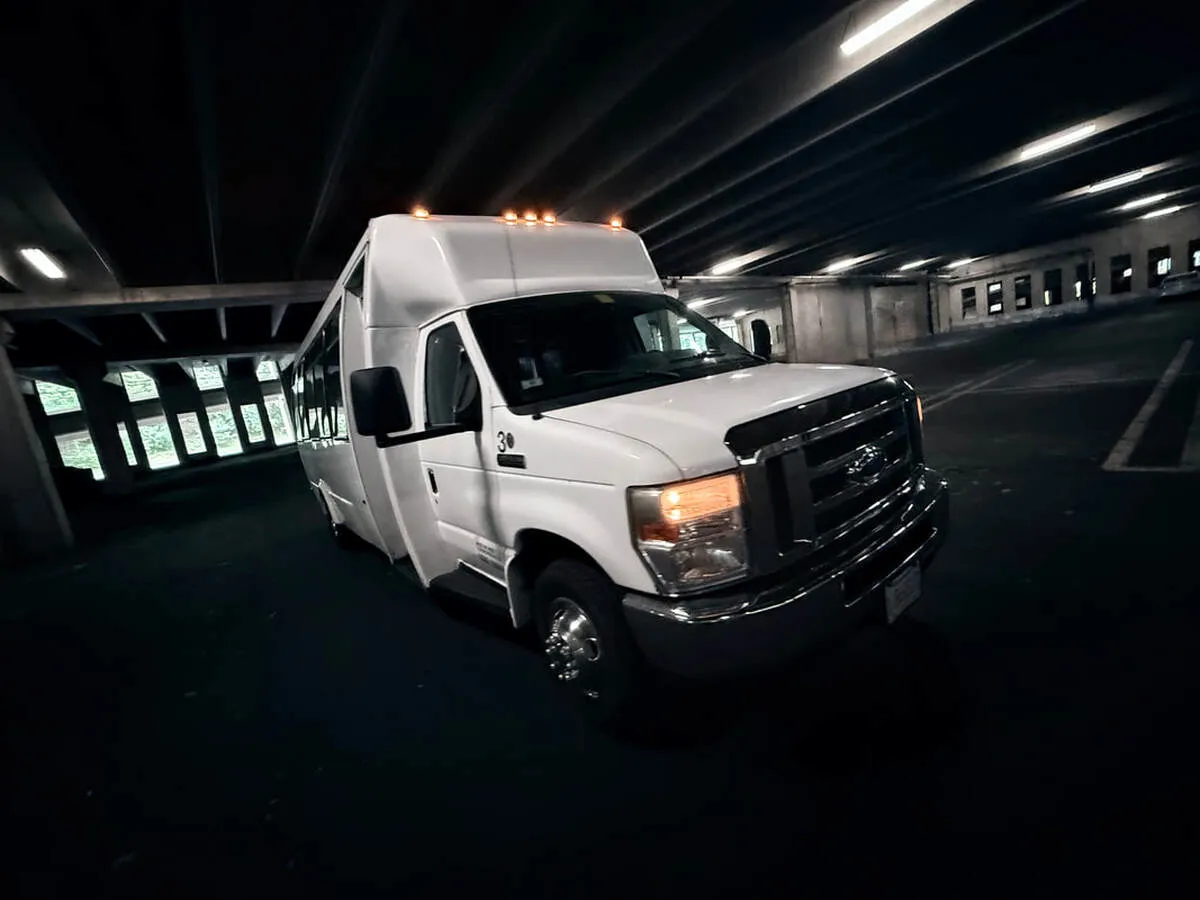 White Ford E-450 Series Party Bus exterior, photo 6 for party bus rental