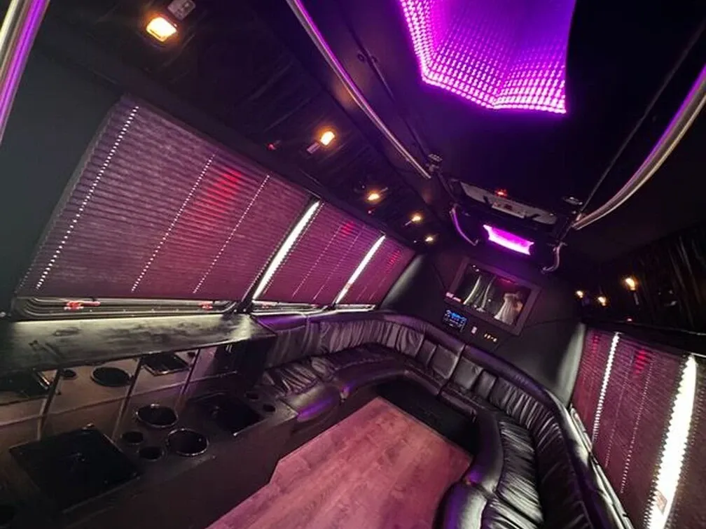 Ford E-450 Series Party Bus in white, image 5