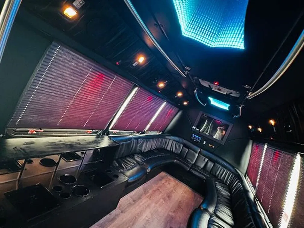 Ford E-450 Series Party Bus in white, image 9