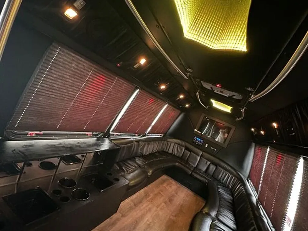 Ford E-450 Series Party Bus in white, image 12