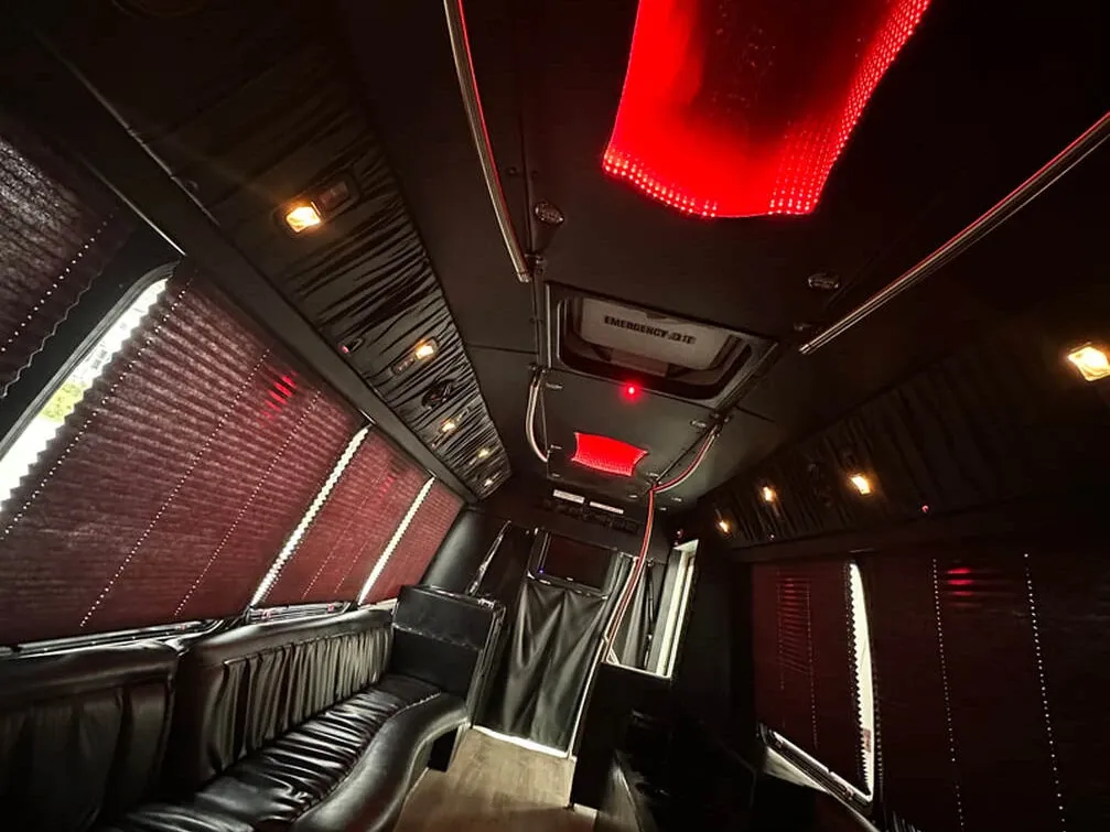 Ford E-450 Series Party Bus in white, image 7
