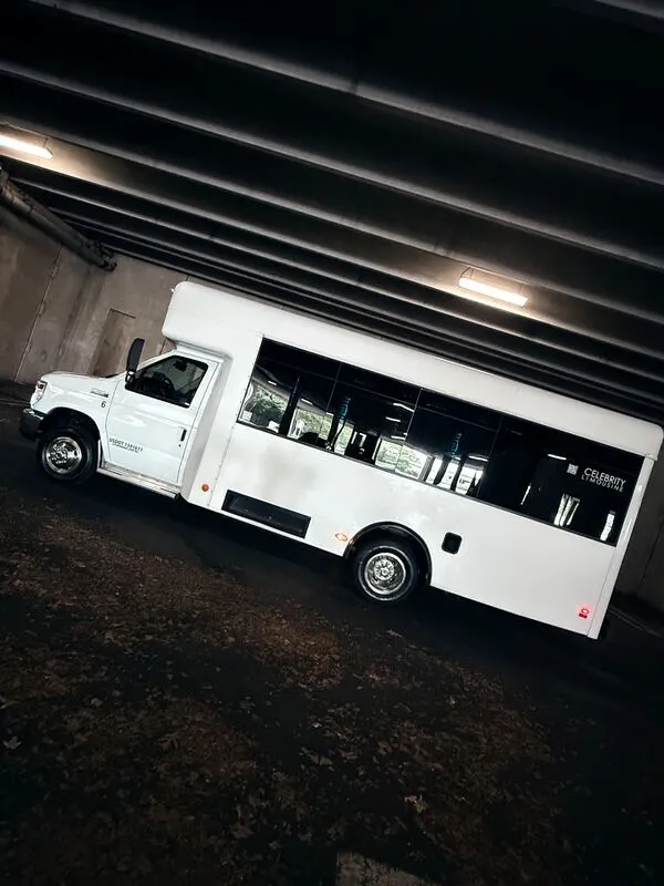 White Ford E-450 Series Party Bus exterior, photo 7 for party bus rental