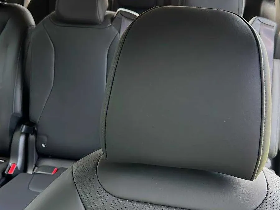 Kia Carnival in brown, image 2