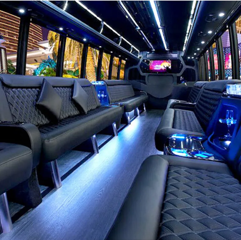38 Passenger Luxury Party Bus 38 Passenger Luxury Party Bus interior for party bus rental