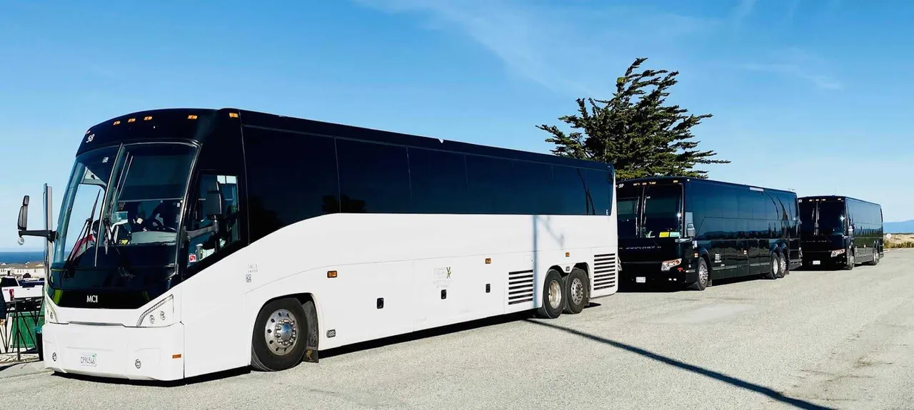 White MCI Motorcoach with tinted windows for charter bus rental in Sanders, KY