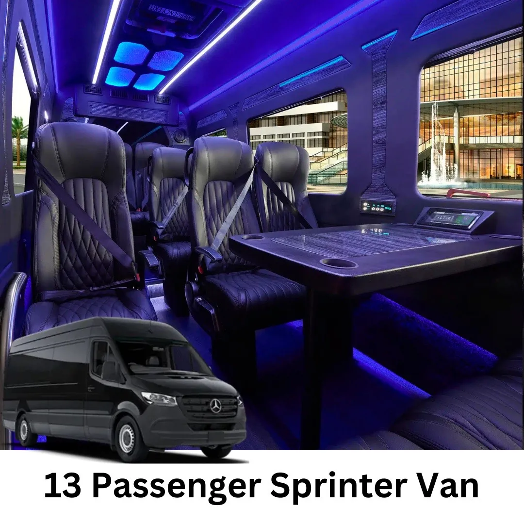 Mercedes-Benz Executive Shuttle Sprinter Mercedes-Benz Executive Shuttle Sprinter for minibus rental