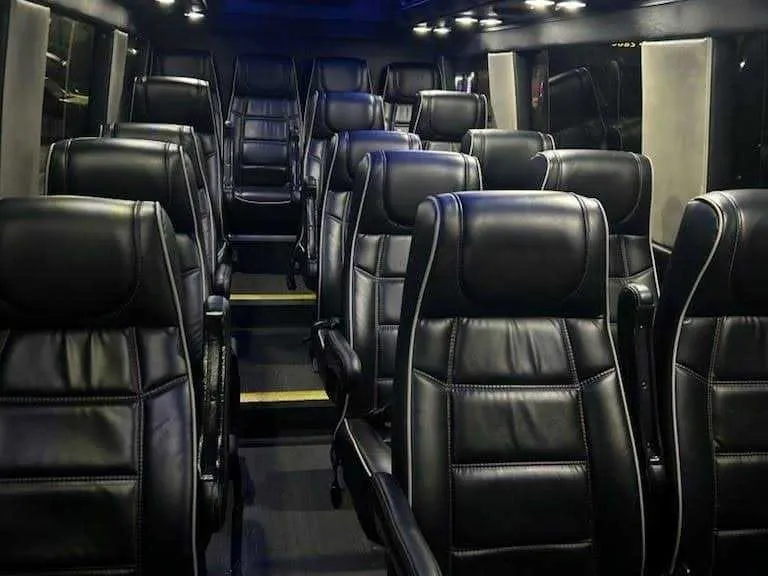 Mercedes-Benz Executive Sprinter in black, image 2