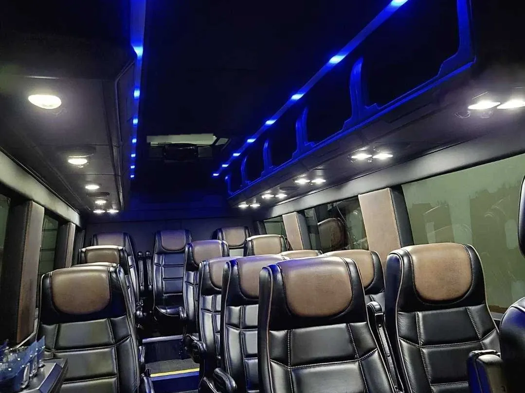 Mercedes-Benz Executive Sprinter in black, image 2