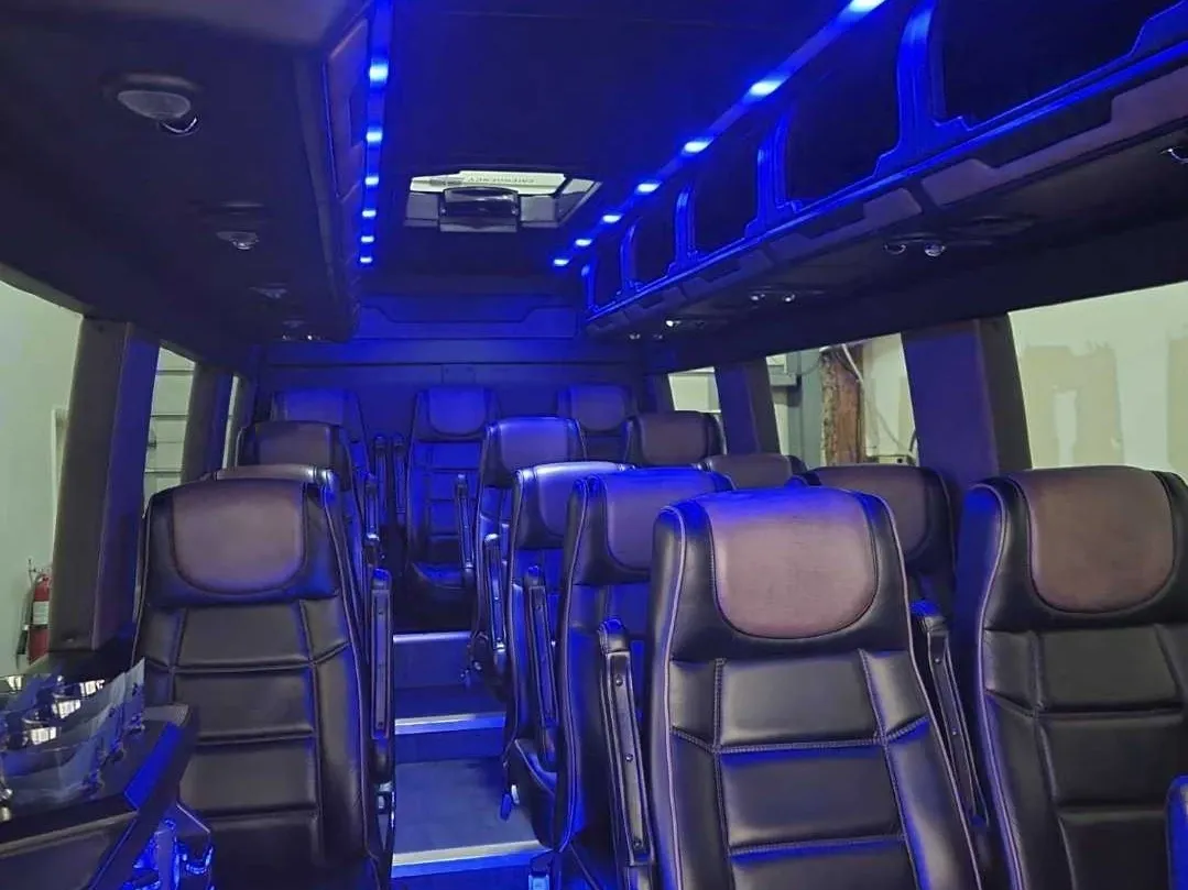 Mercedes-Benz Executive Sprinter in black, image 3