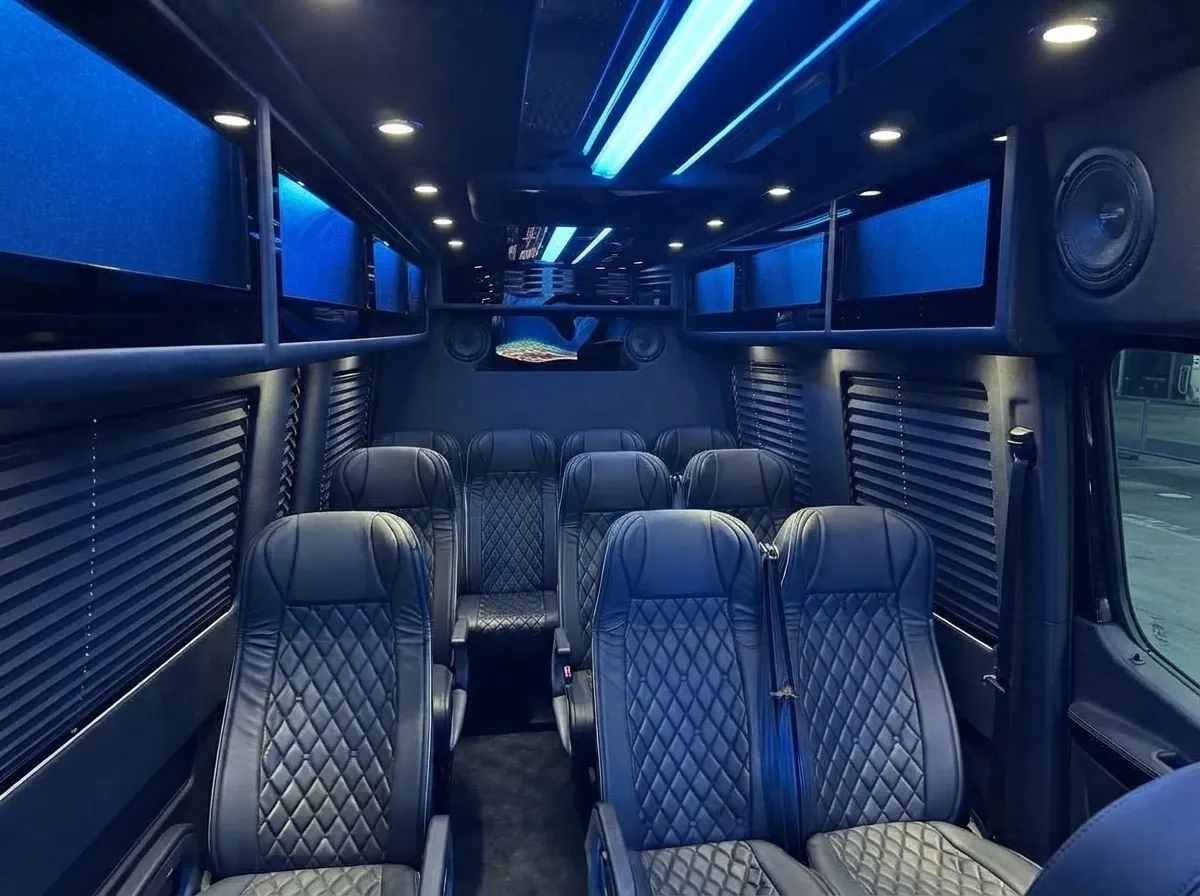 Mercedes-Benz Executive Sprinter in black, image 2