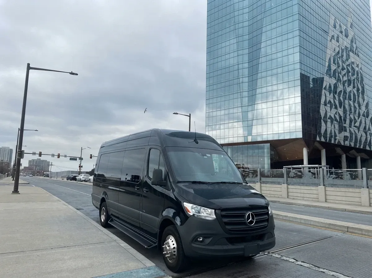Mercedes-Benz Executive Sprinter in black, image 5