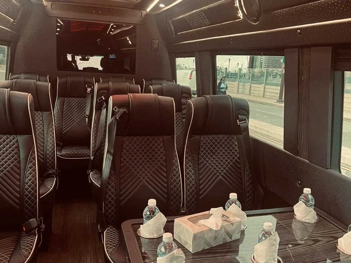 Mercedes-Benz Executive Sprinter in black, image 7