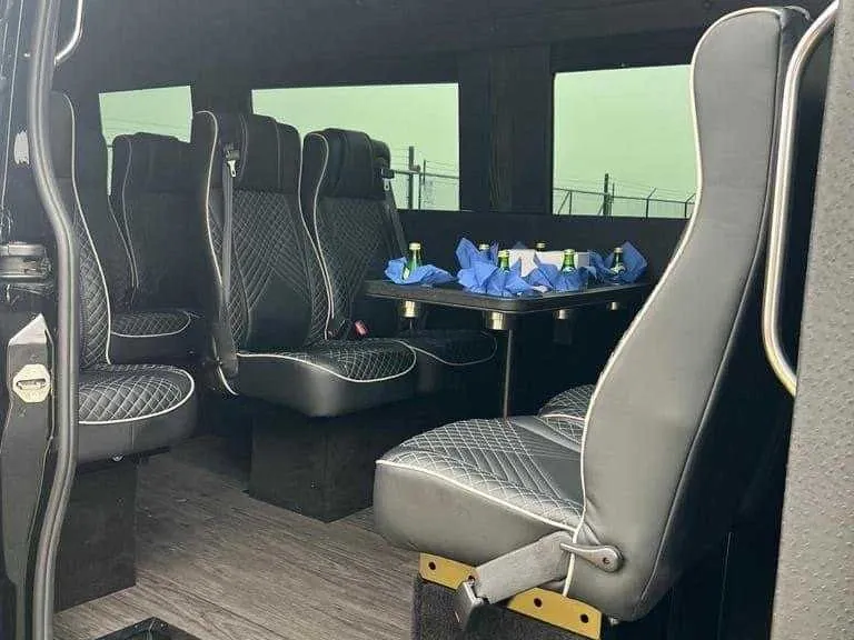 Mercedes-Benz Executive Sprinter in black, image 4