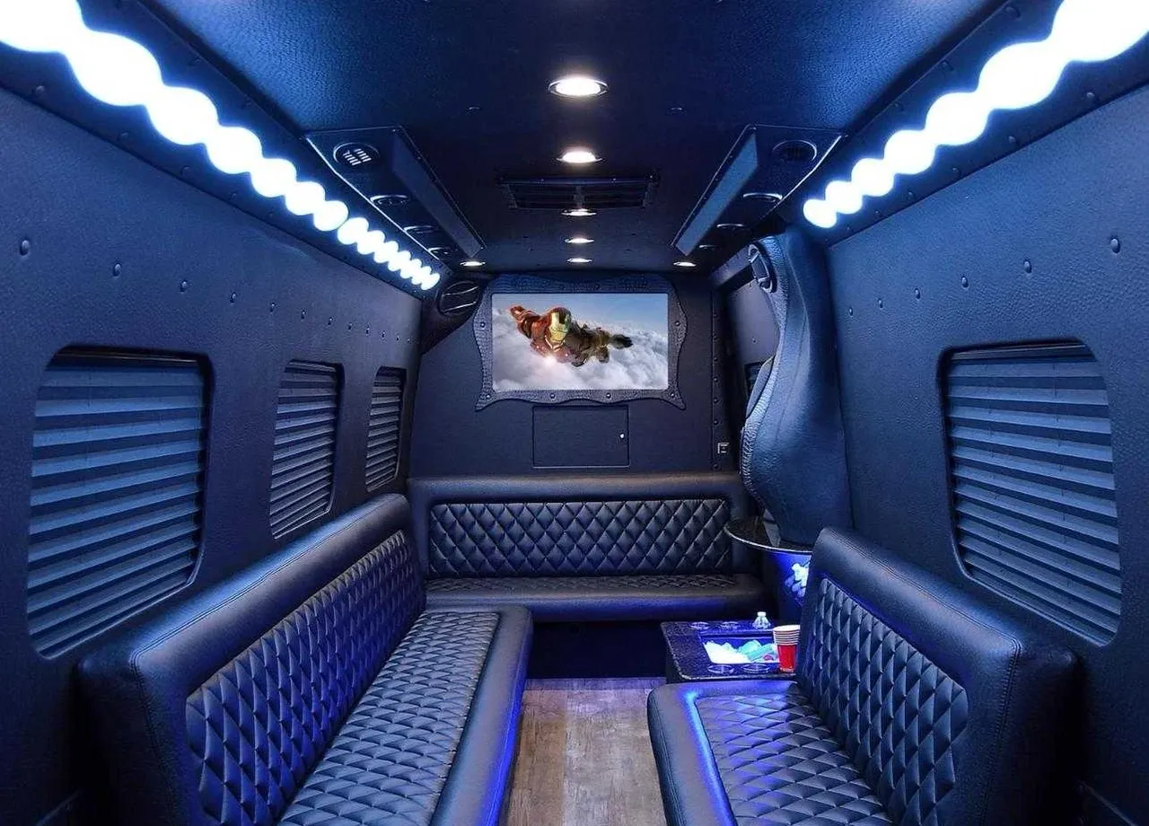 Mercedes-Benz Limousine Coach in black, image 3