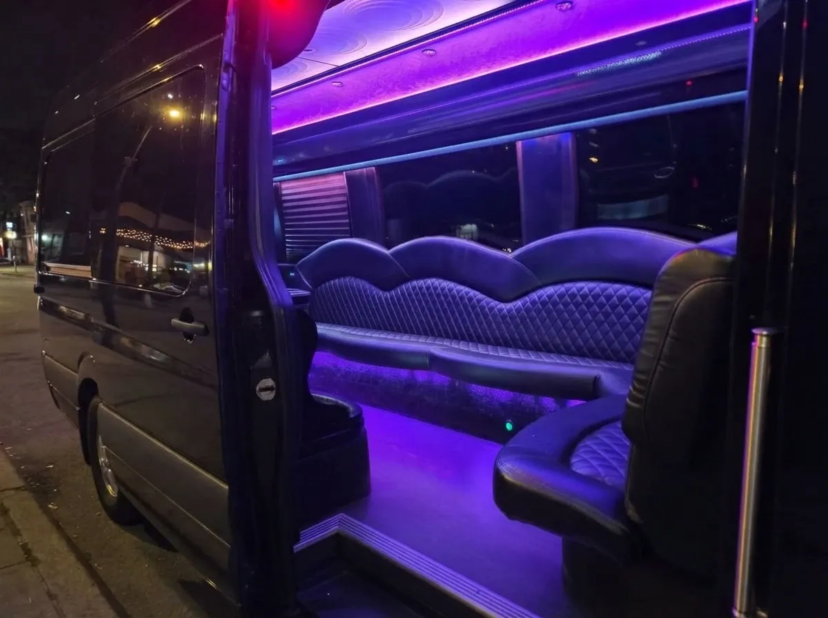 Mercedes-Benz Limousine Sprinter in black, image 3
