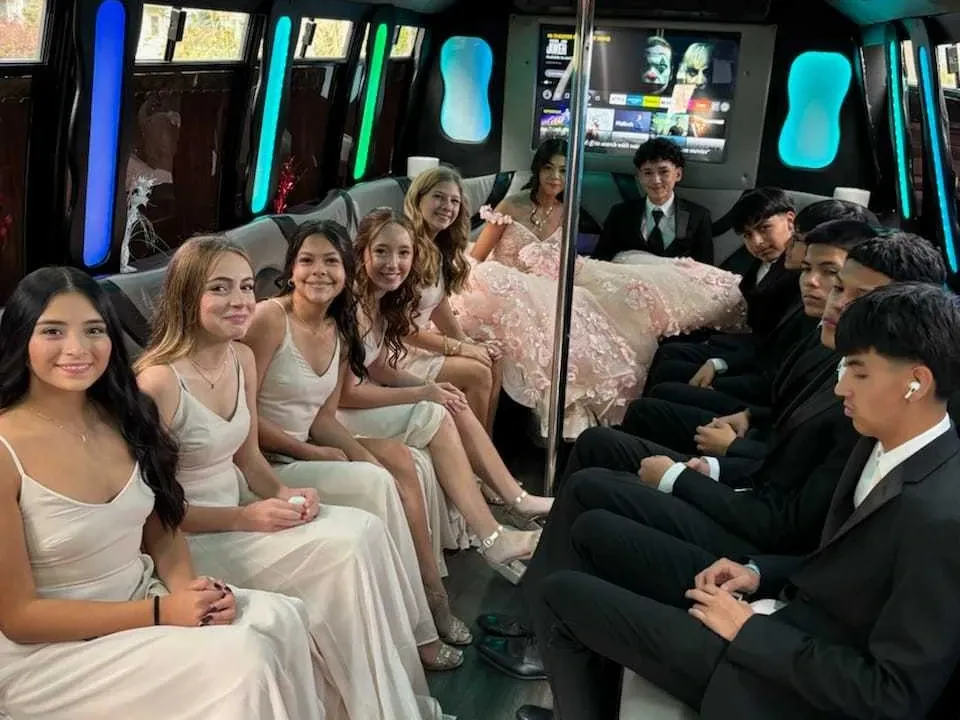 Mercedes-Benz Party Buses in black, image 6