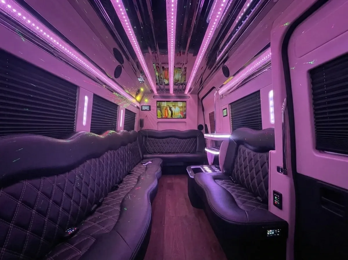 Mercedes-Benz Sprinter Limousine in black, image 2