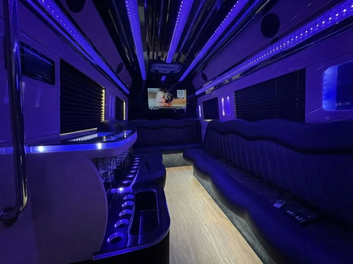 Mercedes-Benz Sprinter Limousine in black, image 3