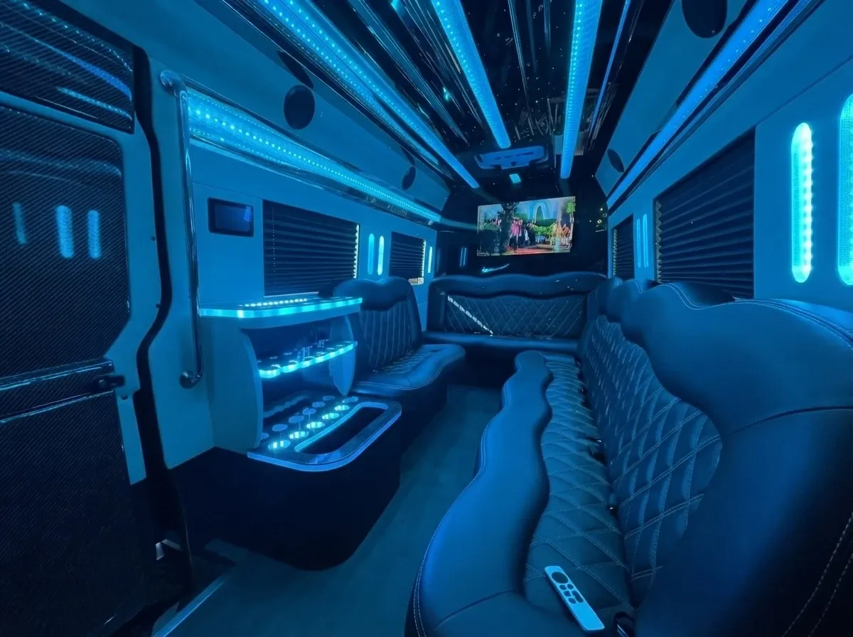 Mercedes-Benz Sprinter Limousine in black, image 4