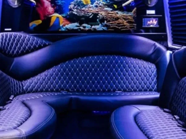 Mercedes-Benz Sprinter Limousine, available to rent
