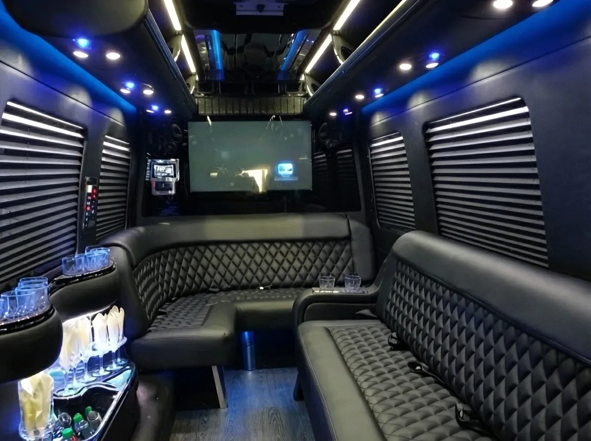 Mercedes-Benz Sprinter Limousine in black, image 8