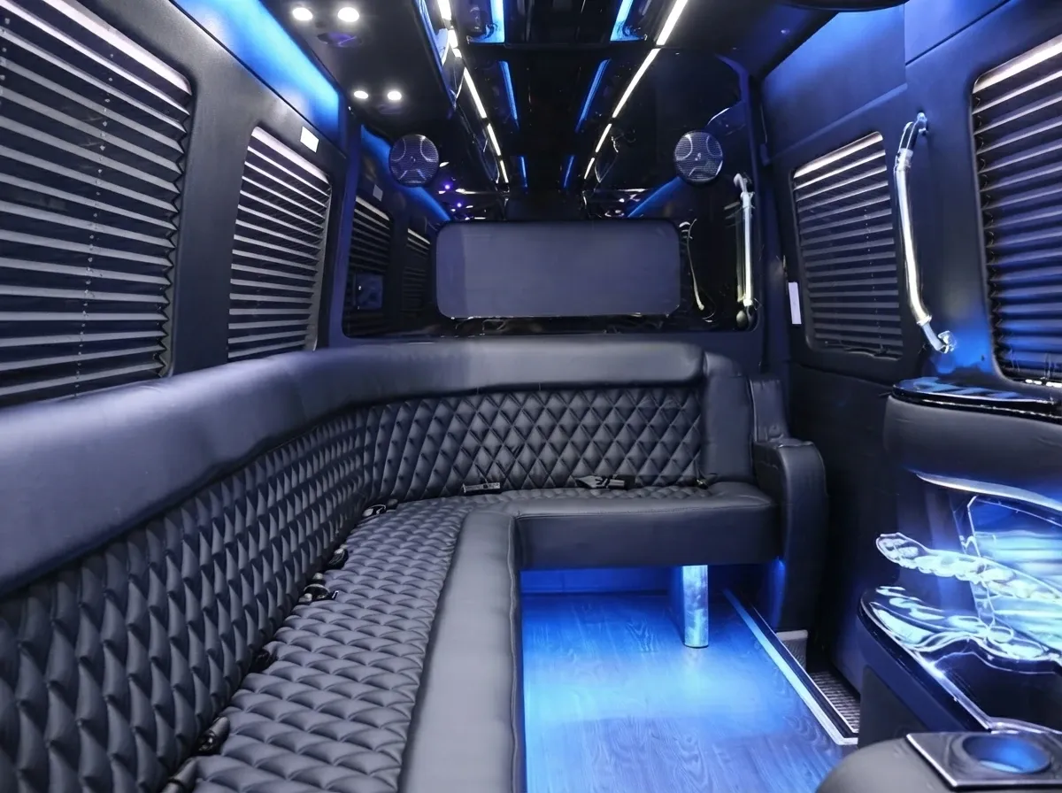 Mercedes-Benz Sprinter Limousine in black, image 6