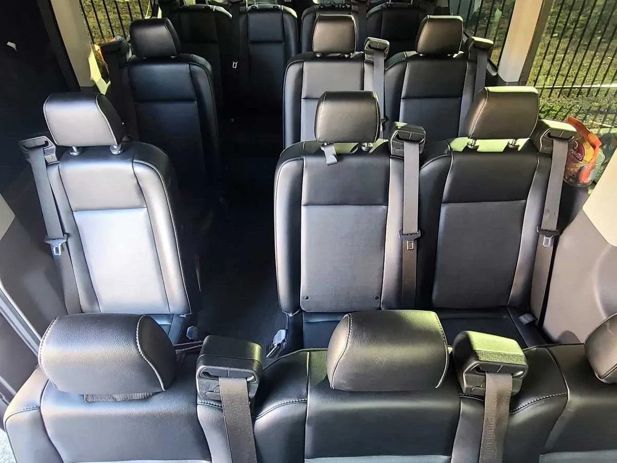 Mercedes-Benz Sprinter Van in black, image 2