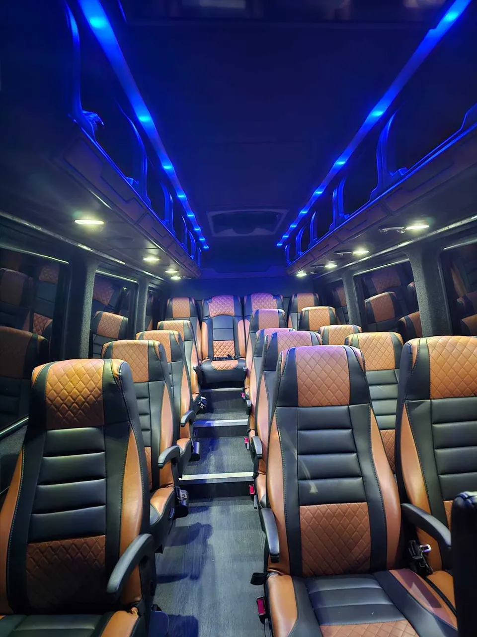 Mercedes-Benz Executive Sprinter interior with captain's chairs and LED accent lighting for minibus rental