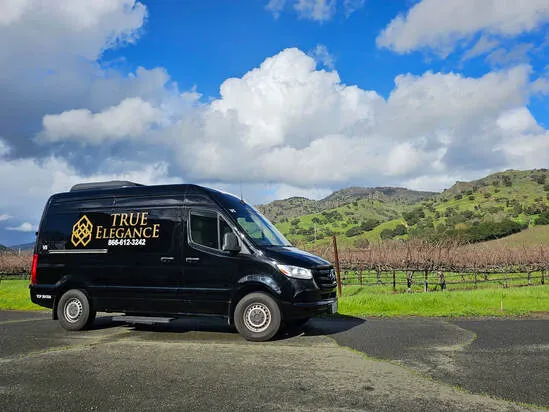 Mercedes-Benz Sprinter Executive Van, available to rent