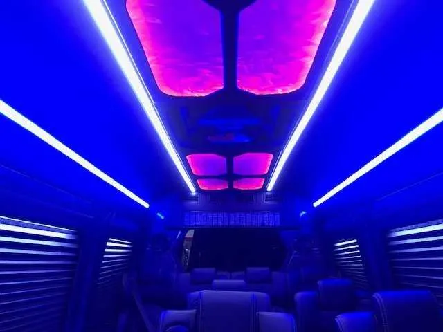 Mercedes Sprinter Luxury- 11 Pax interior with window shades, LED accent lighting and LED ceiling lighting for minibus rental