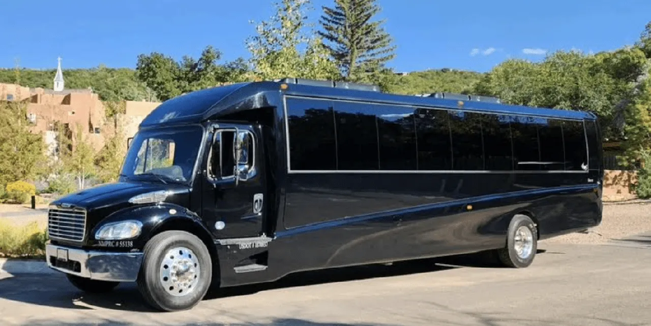 Mini Coach Executive Black Mini Coach Executive with tinted windows for minibus rental