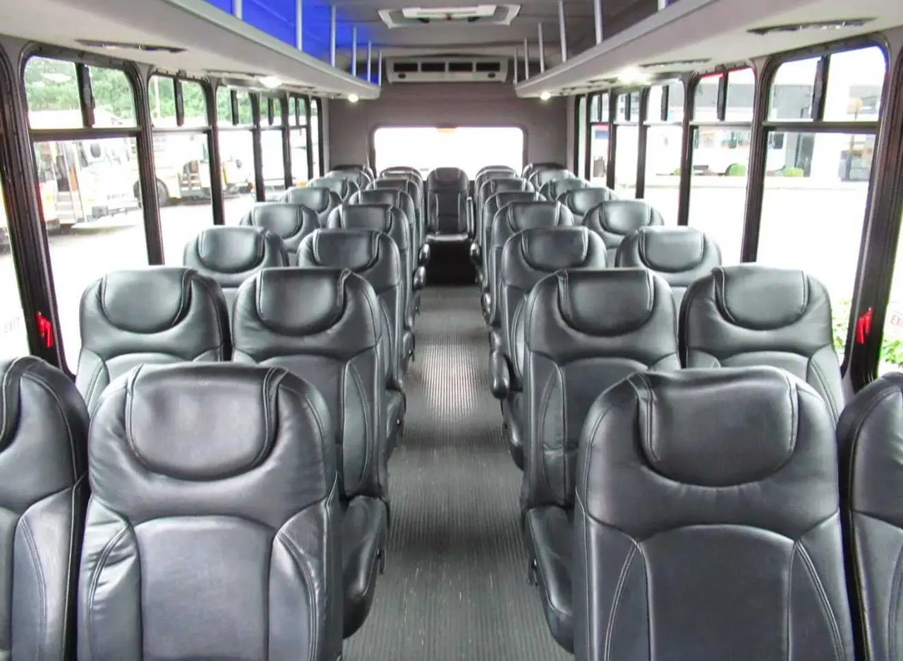 Mini Coach Executive interior with overhead parcel racks for minibus rental