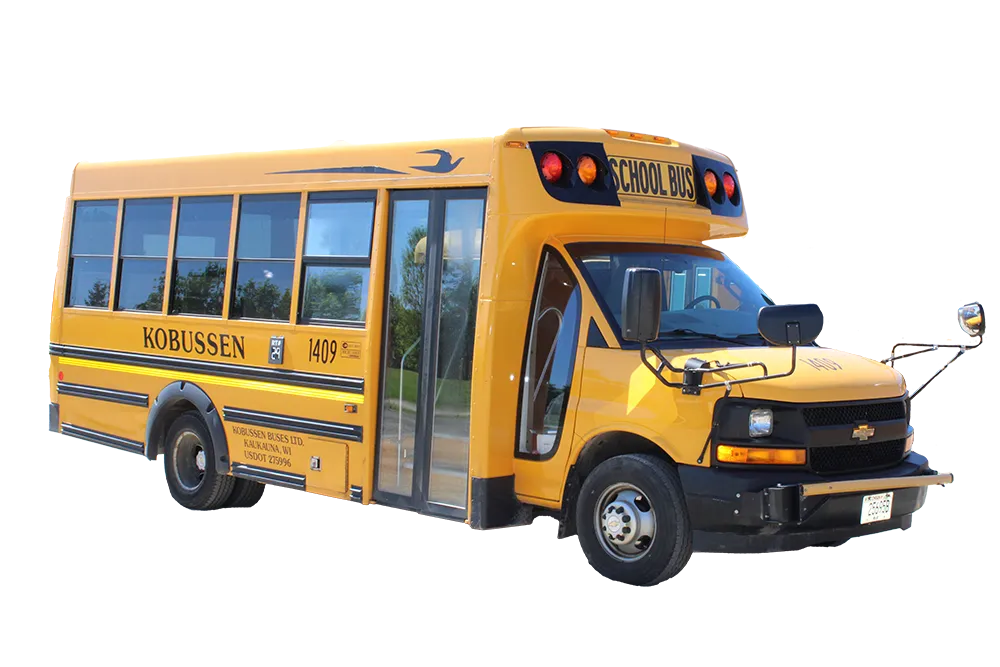 15 Passenger Mini School Bus for minibus rental