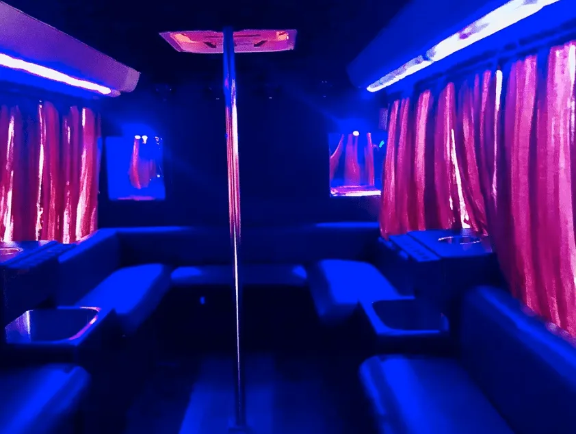 White 16 Passenger Party Bus 16 Passenger Party Bus interior with perimeter lounge seating, window shades and dance pole for party bus rental