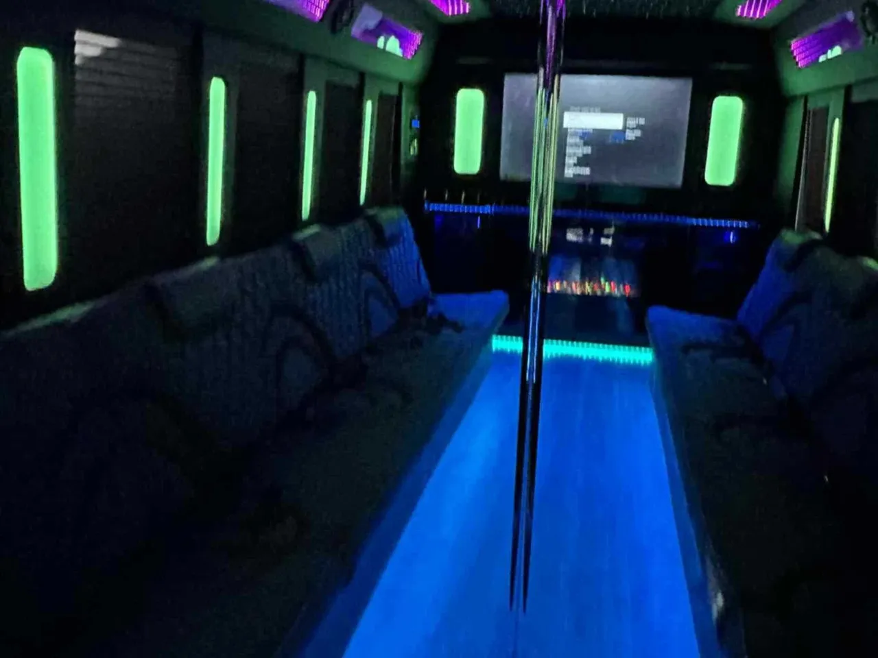 18 Passenger Party Bus in white, image 2