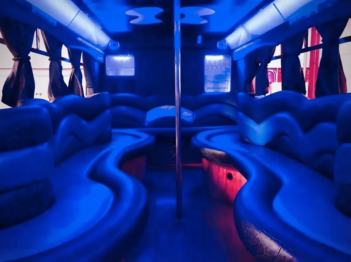 18 Passenger Party Bus in black, image 2