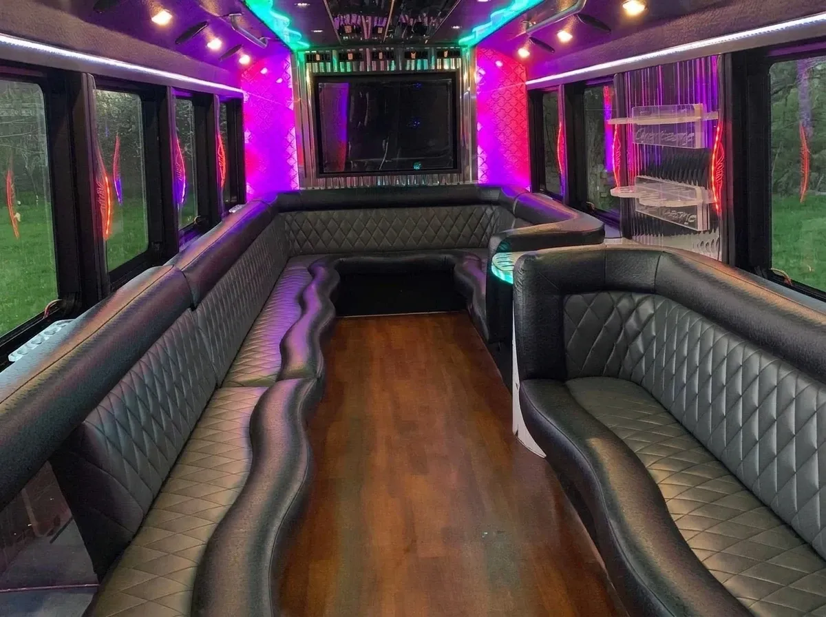Party Bus - Sophia Loren in white, image 2